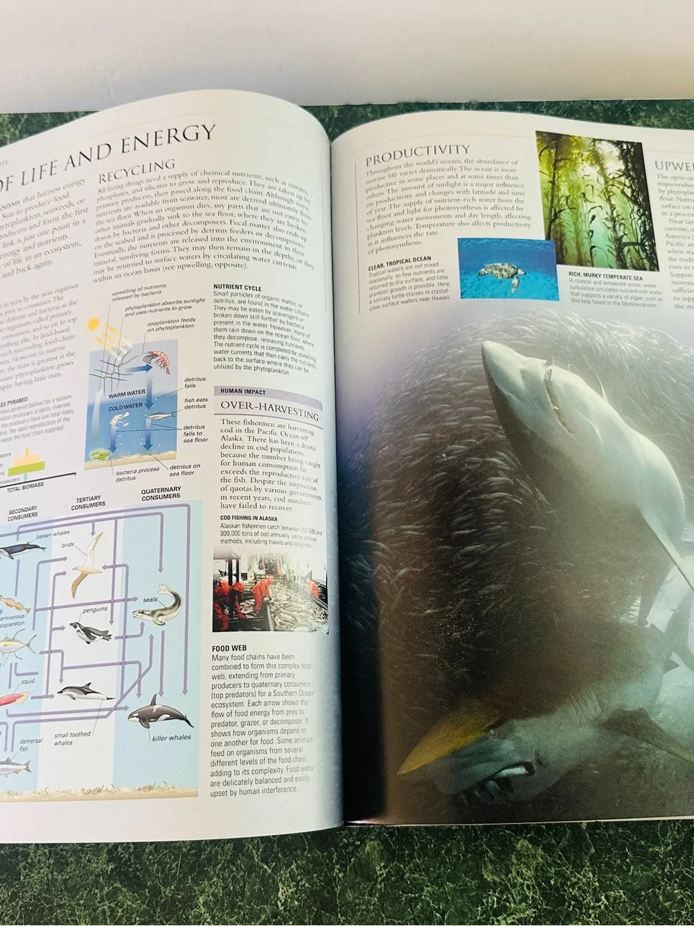 Ocean: The World's Last Wilderness Revealed -Hardcover Coffee Table Book 510p